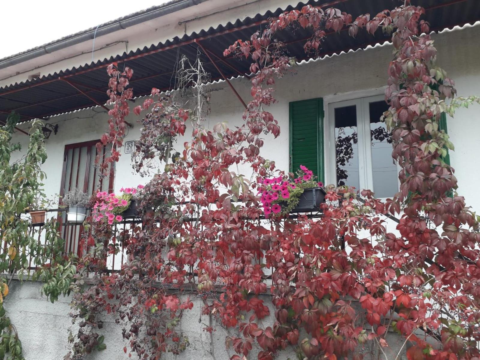 Villa Casa Al Vantaggio à Orvieto Extérieur photo